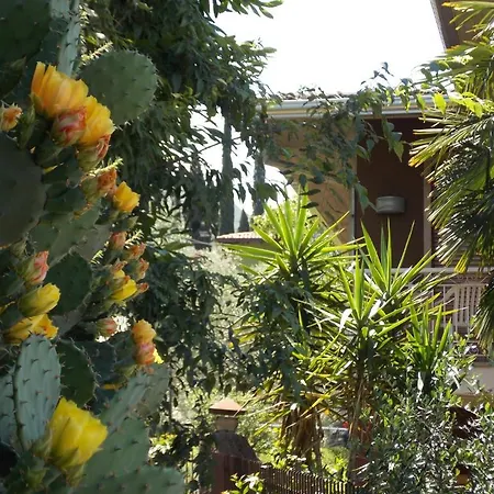 Casa Sartori
